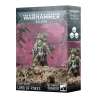 Death Guard: Fürst Der Pocken
